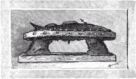 Иллюстрация к книге — Практические основы кулинарного искусства [i_038.jpg]