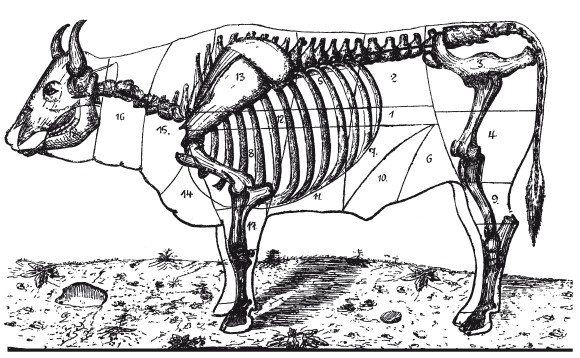 Иллюстрация к книге — Практические основы кулинарного искусства [i_091.jpg]