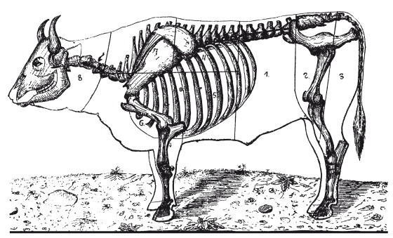 Иллюстрация к книге — Практические основы кулинарного искусства [i_092.jpg]