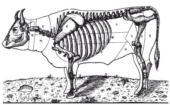Иллюстрация к книге — Практические основы кулинарного искусства [i_094.jpg]