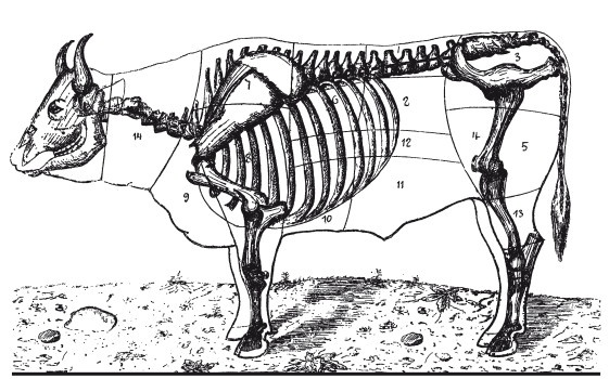 Иллюстрация к книге — Практические основы кулинарного искусства [i_095.jpg]