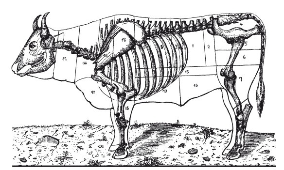 Иллюстрация к книге — Практические основы кулинарного искусства [i_097.jpg]