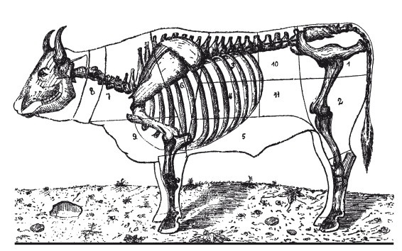 Иллюстрация к книге — Практические основы кулинарного искусства [i_102.jpg]