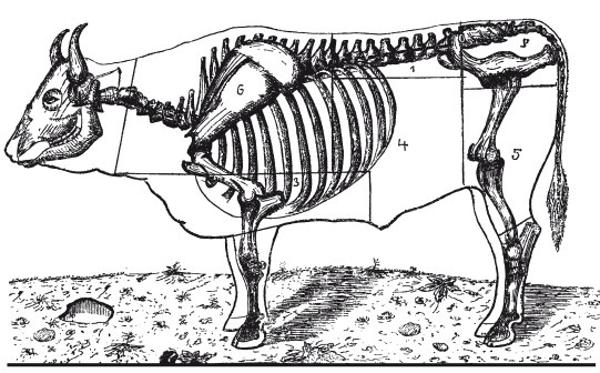 Иллюстрация к книге — Практические основы кулинарного искусства [i_103.jpg]