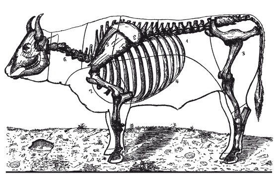 Иллюстрация к книге — Практические основы кулинарного искусства [i_104.jpg]