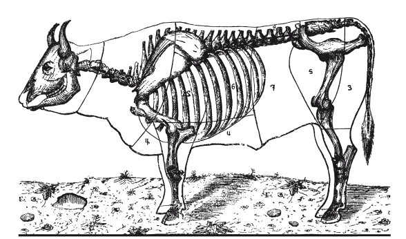 Иллюстрация к книге — Практические основы кулинарного искусства [i_106.jpg]