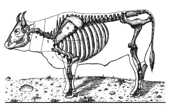 Иллюстрация к книге — Практические основы кулинарного искусства [i_107.jpg]