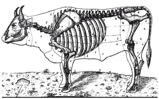 Иллюстрация к книге — Практические основы кулинарного искусства [i_108.jpg]