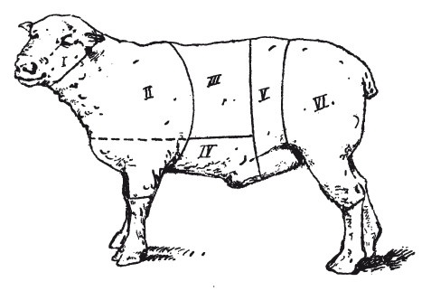 Иллюстрация к книге — Практические основы кулинарного искусства [i_110.jpg]
