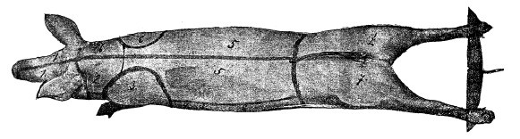 Иллюстрация к книге — Практические основы кулинарного искусства [i_112.jpg]