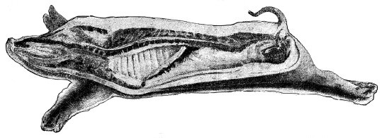 Иллюстрация к книге — Практические основы кулинарного искусства [i_113.jpg]