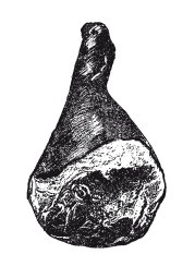 Иллюстрация к книге — Практические основы кулинарного искусства [i_119.jpg]