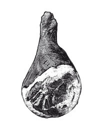 Иллюстрация к книге — Практические основы кулинарного искусства [i_120.jpg]