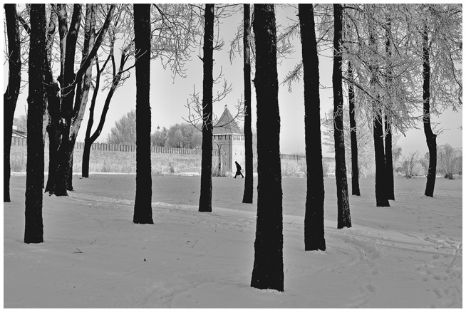 Иллюстрация к книге — Радуга и Вереск [i_004.jpg]