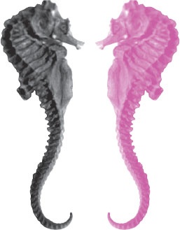 Иллюстрация к книге — Время желаний. Как начать жить для себя [_16.jpg]