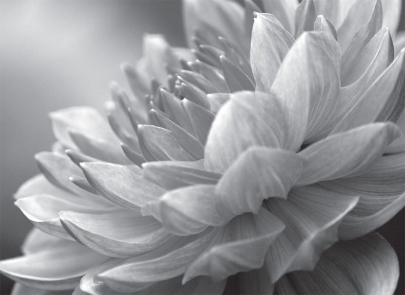 Иллюстрация к книге — Время желаний. Как начать жить для себя [_20.jpg]