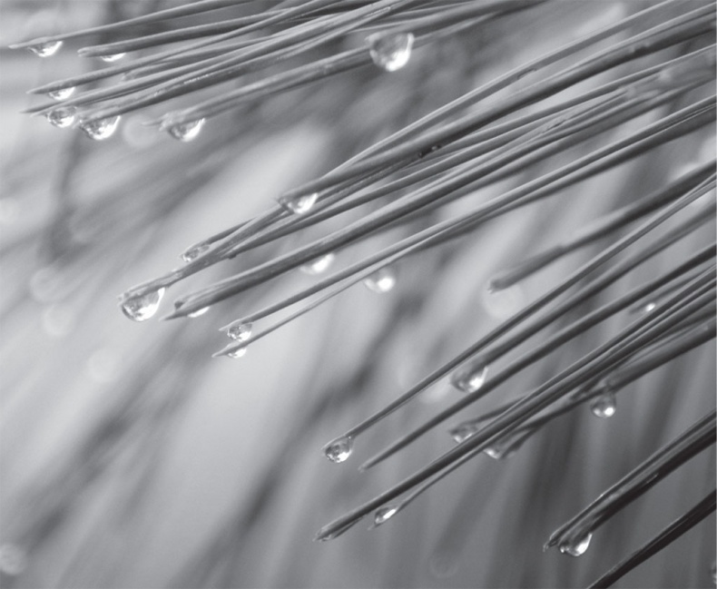 Иллюстрация к книге — Время желаний. Как начать жить для себя [_40.jpg]