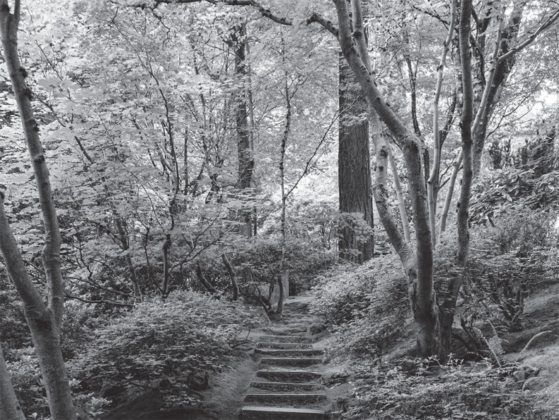 Иллюстрация к книге — Время желаний. Как начать жить для себя [_52.jpg]