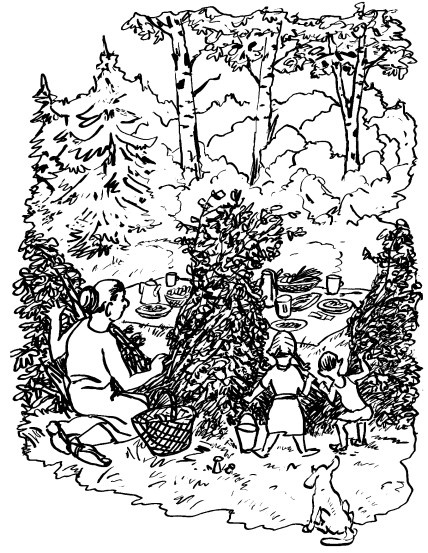 Иллюстрация к книге — Кулинарная книга жизни. 100 рецептов живой растительной пищи [i_005.jpg]