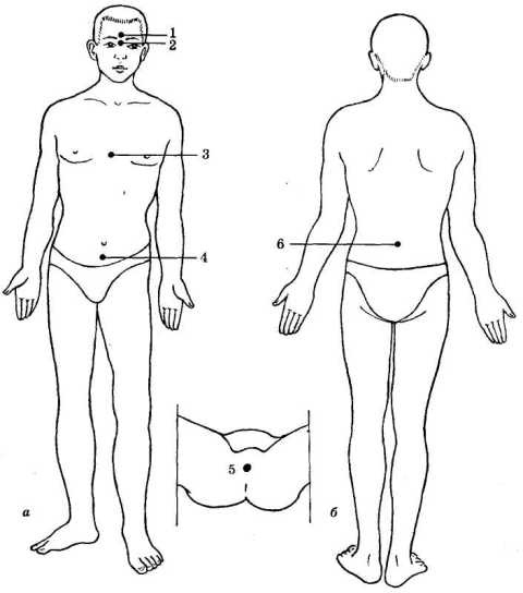 Иллюстрация к книге — Энциклопедия целебного чая [i_011.jpg]
