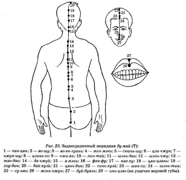 Иллюстрация к книге — Энциклопедия целебного чая [i_027.jpg]
