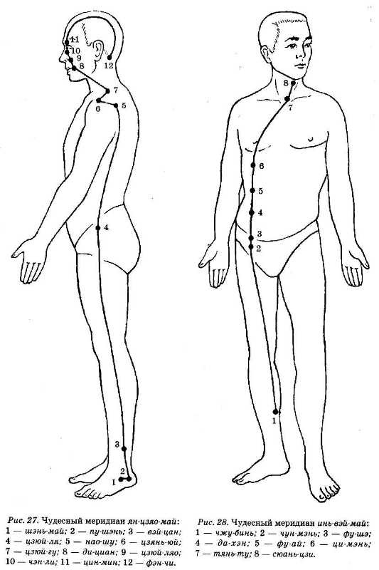 Иллюстрация к книге — Энциклопедия целебного чая [i_030.jpg]