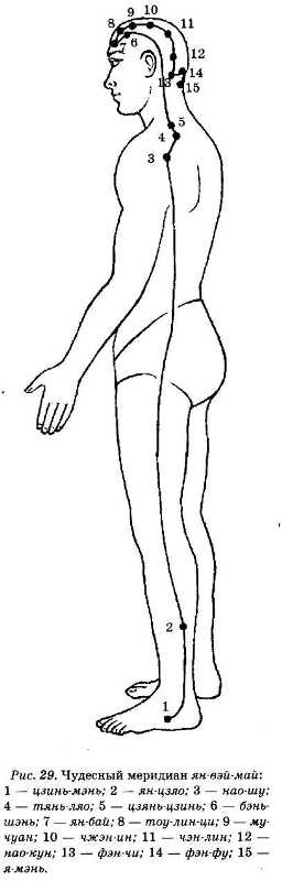 Иллюстрация к книге — Энциклопедия целебного чая [i_031.jpg]