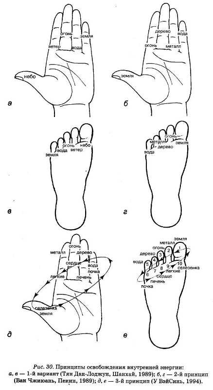 Иллюстрация к книге — Энциклопедия целебного чая [i_033.jpg]