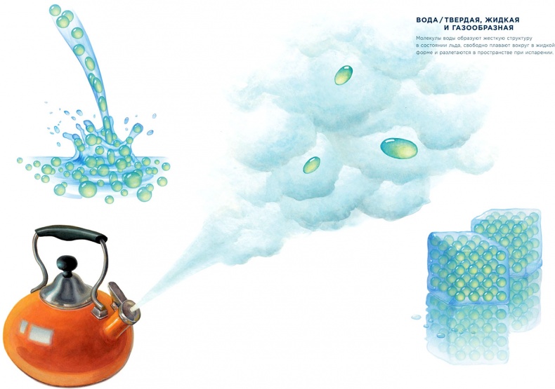 Иллюстрация к книге — Ингредиенты. Химия и алхимия гастрономического творчества [i_002.jpg]