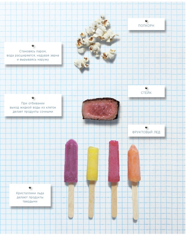 Иллюстрация к книге — Ингредиенты. Химия и алхимия гастрономического творчества [i_004.jpg]