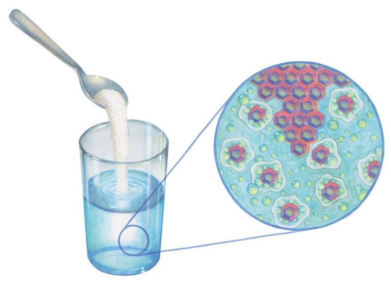 Иллюстрация к книге — Ингредиенты. Химия и алхимия гастрономического творчества [i_005.jpg]