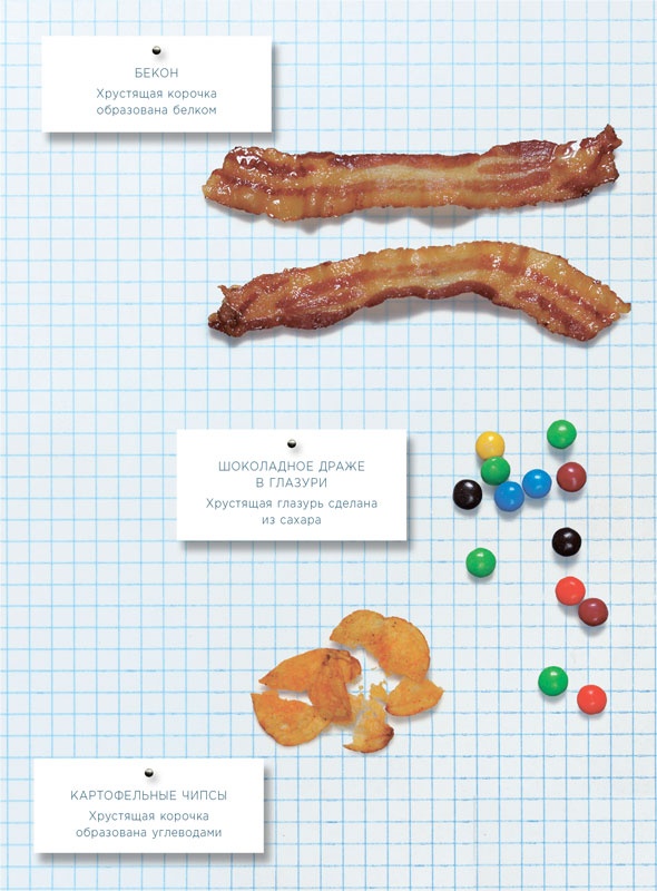 Иллюстрация к книге — Ингредиенты. Химия и алхимия гастрономического творчества [i_010.jpg]