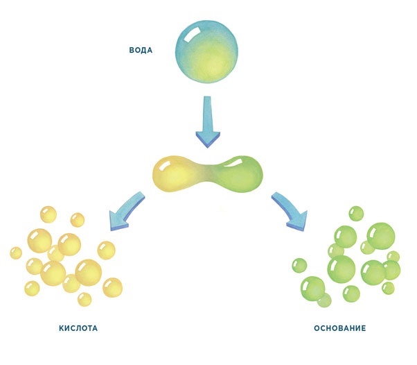 Иллюстрация к книге — Ингредиенты. Химия и алхимия гастрономического творчества [i_011.jpg]