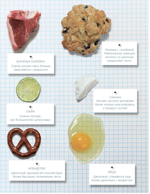 Иллюстрация к книге — Ингредиенты. Химия и алхимия гастрономического творчества [i_014.jpg]