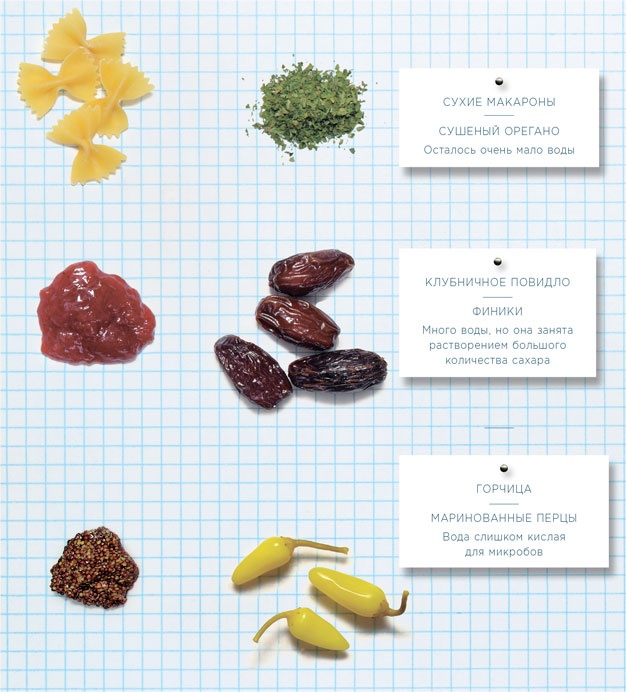Иллюстрация к книге — Ингредиенты. Химия и алхимия гастрономического творчества [i_017.jpg]