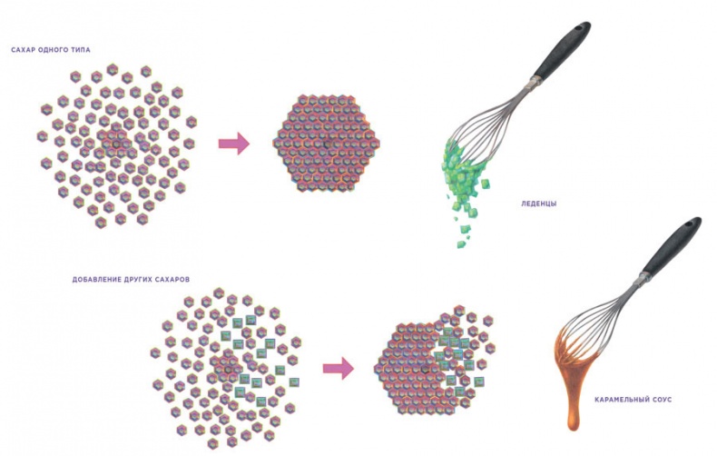Иллюстрация к книге — Ингредиенты. Химия и алхимия гастрономического творчества [i_026.jpg]