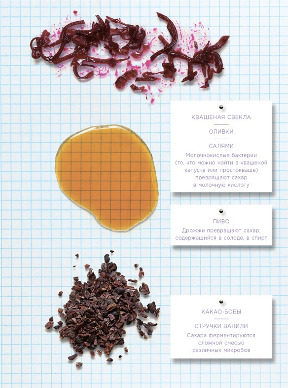 Иллюстрация к книге — Ингредиенты. Химия и алхимия гастрономического творчества [i_036.jpg]