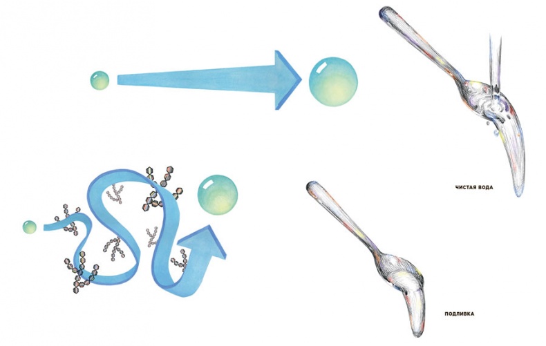 Иллюстрация к книге — Ингредиенты. Химия и алхимия гастрономического творчества [i_042.jpg]