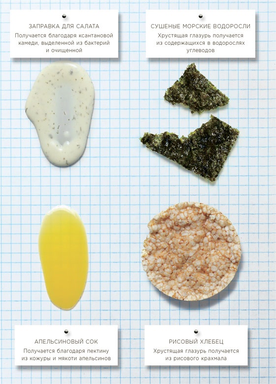 Иллюстрация к книге — Ингредиенты. Химия и алхимия гастрономического творчества [i_044.jpg]