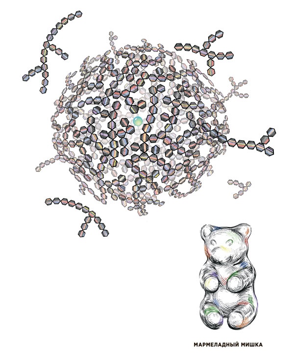 Иллюстрация к книге — Ингредиенты. Химия и алхимия гастрономического творчества [i_046.jpg]