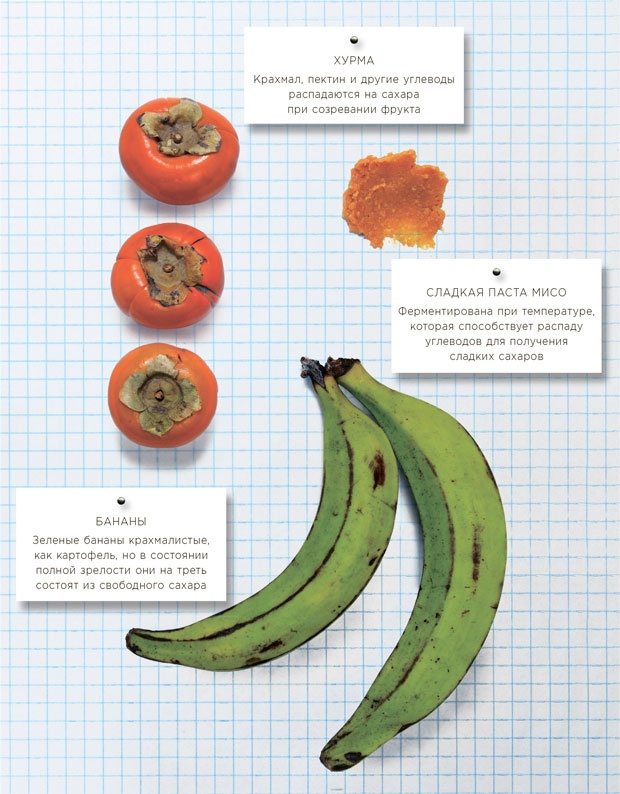 Иллюстрация к книге — Ингредиенты. Химия и алхимия гастрономического творчества [i_054.jpg]