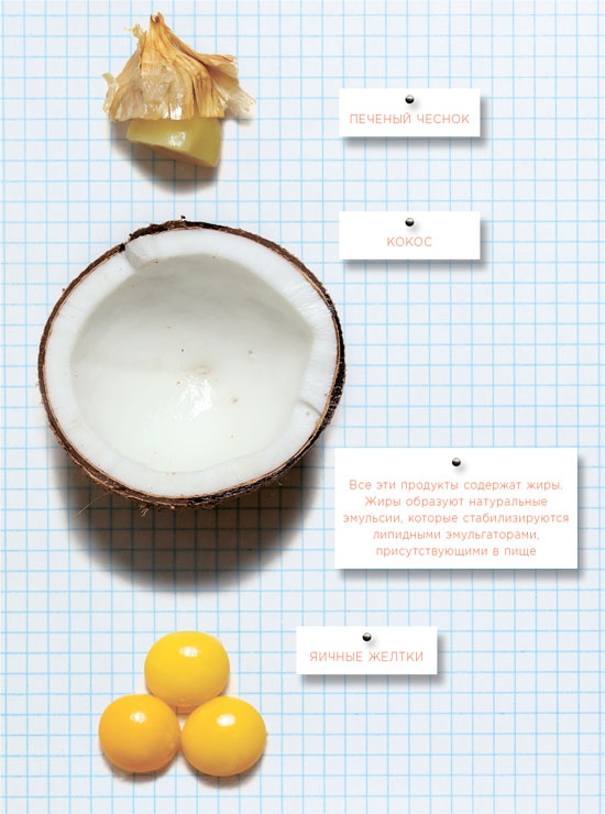 Иллюстрация к книге — Ингредиенты. Химия и алхимия гастрономического творчества [i_062.jpg]