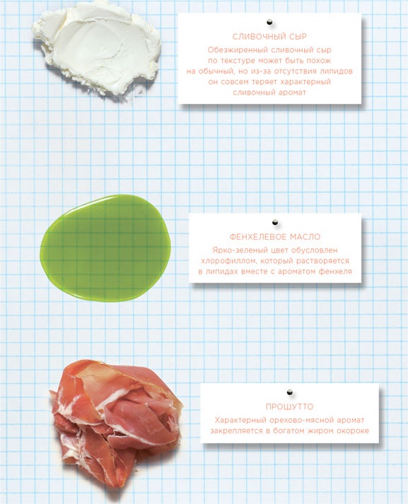 Иллюстрация к книге — Ингредиенты. Химия и алхимия гастрономического творчества [i_065.jpg]