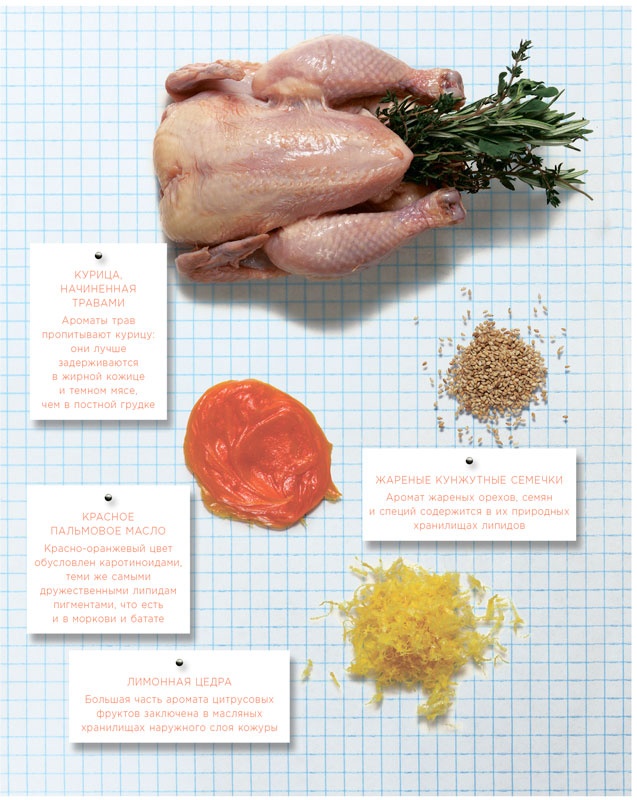 Иллюстрация к книге — Ингредиенты. Химия и алхимия гастрономического творчества [i_066.jpg]