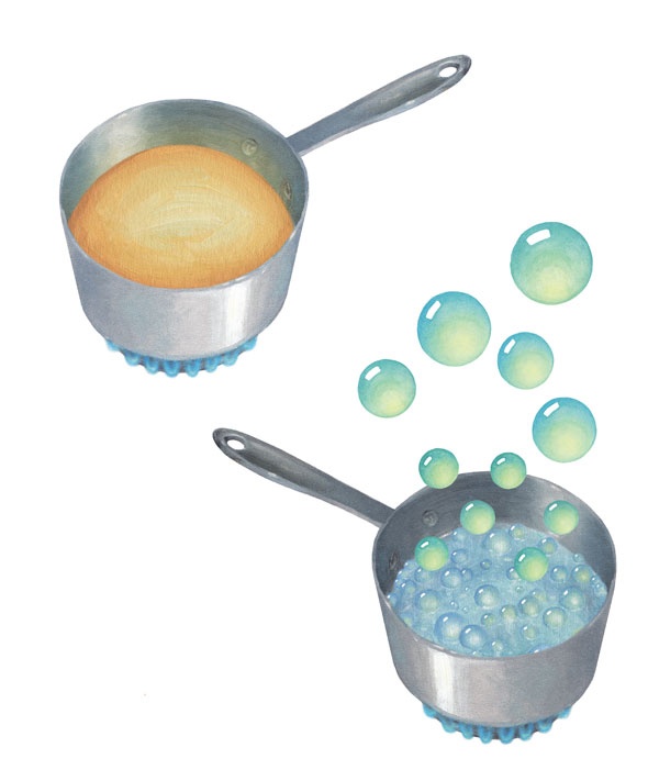 Иллюстрация к книге — Ингредиенты. Химия и алхимия гастрономического творчества [i_071.jpg]