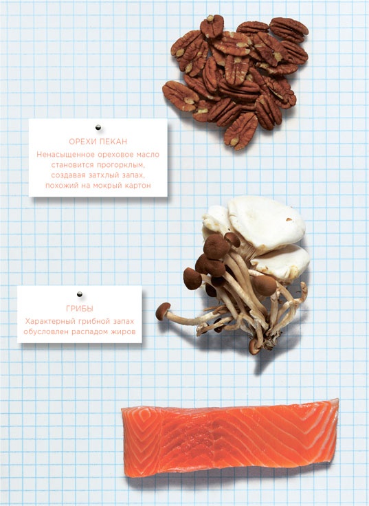 Иллюстрация к книге — Ингредиенты. Химия и алхимия гастрономического творчества [i_075.jpg]