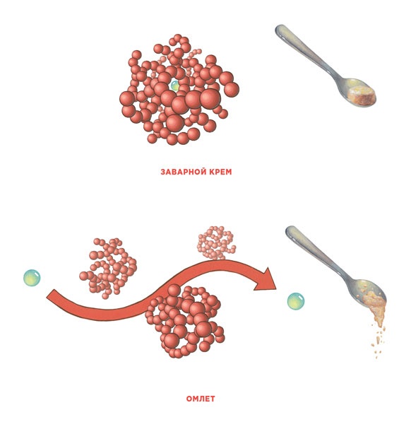 Иллюстрация к книге — Ингредиенты. Химия и алхимия гастрономического творчества [i_079.jpg]