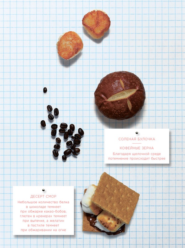 Иллюстрация к книге — Ингредиенты. Химия и алхимия гастрономического творчества [i_088.jpg]