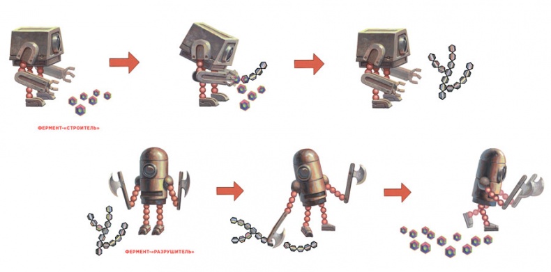 Иллюстрация к книге — Ингредиенты. Химия и алхимия гастрономического творчества [i_093.jpg]