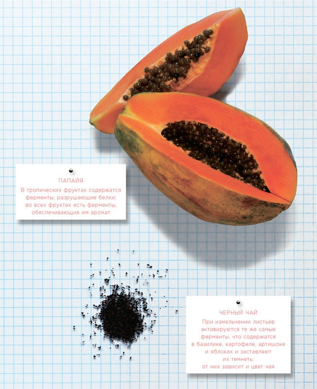 Иллюстрация к книге — Ингредиенты. Химия и алхимия гастрономического творчества [i_095.jpg]